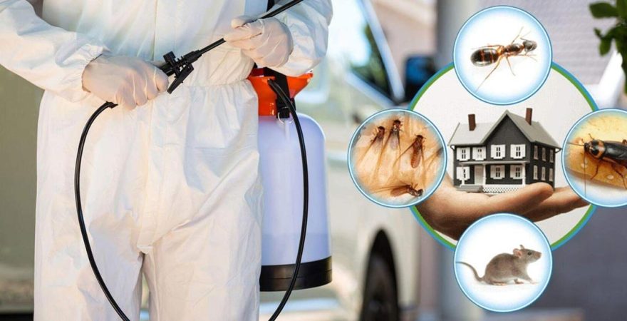 Gökdere Böcek İlaçlama