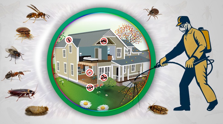 Gökdere Böcek İlaçlama