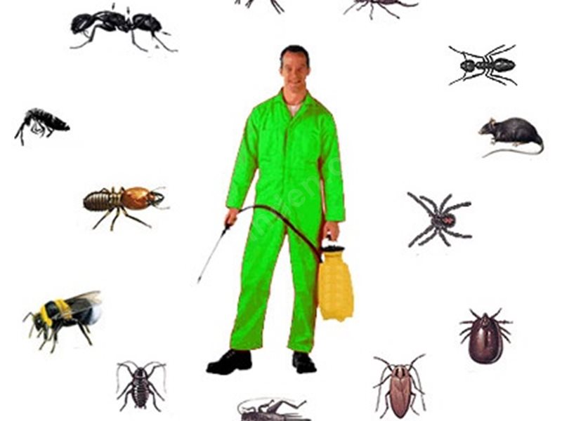 Gökdere Böcek İlaçlama